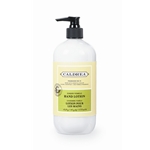 Hand Lotion Ginger Pomelo 11 oz