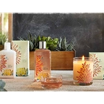 Agave Nectar Bath and Body Collection