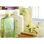 Thymes Eucalyptus Bath and Body Collection