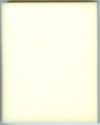 Click here to view larger image Dirt Devil Foam Filter (Standard) 1-LK0545-000