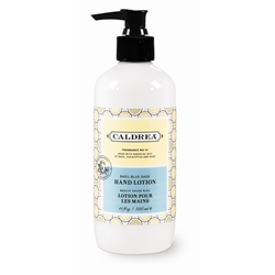 Click here to view larger image Hand Lotion Basil Blue Sage 16 oz