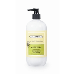 Hand Lotion Ginger Pomelo 11 oz