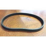 Timing Belt 440006154