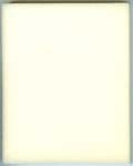 Dirt Devil Foam Filter (Standard) 1-LK0545-000